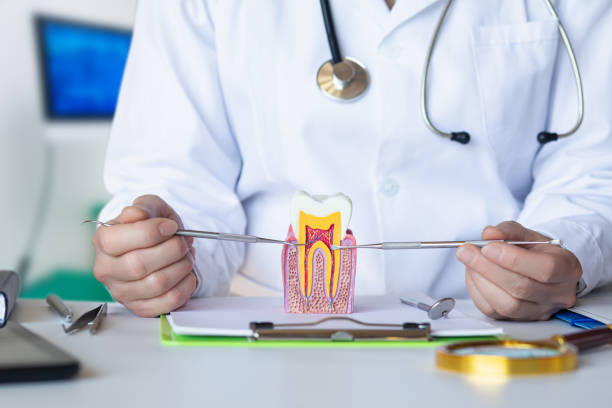 Best Chipped Tooth Repair Near Me  in Orland, CA